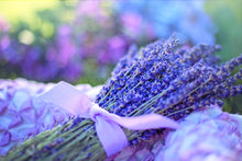 Cargar imagen en el visor de la galería, Lavanda - Kala Artesanal